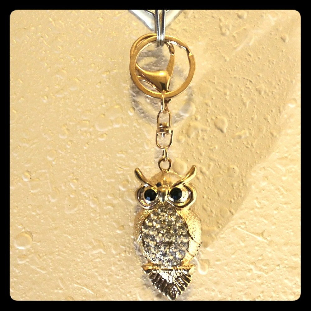 A gold and dimond fashion jewelry key chain
